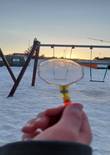 20230117_113145 (Large).jpg (300178 bytes)